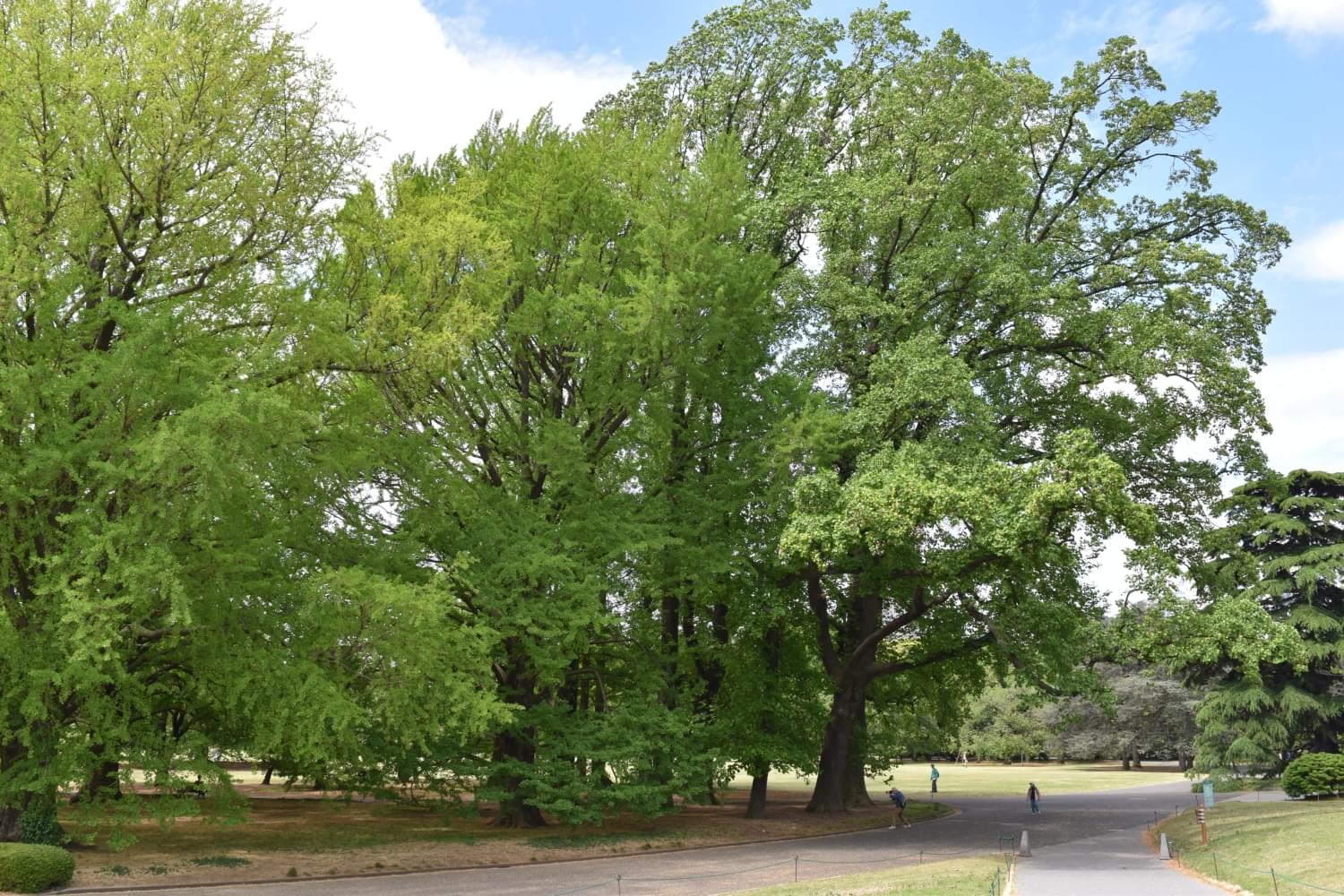 オリジナルの画質